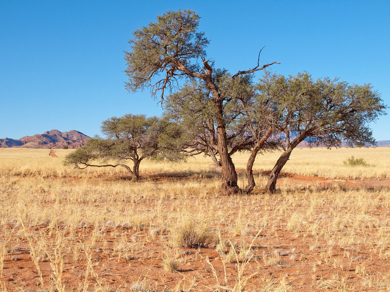 Sossusvlei